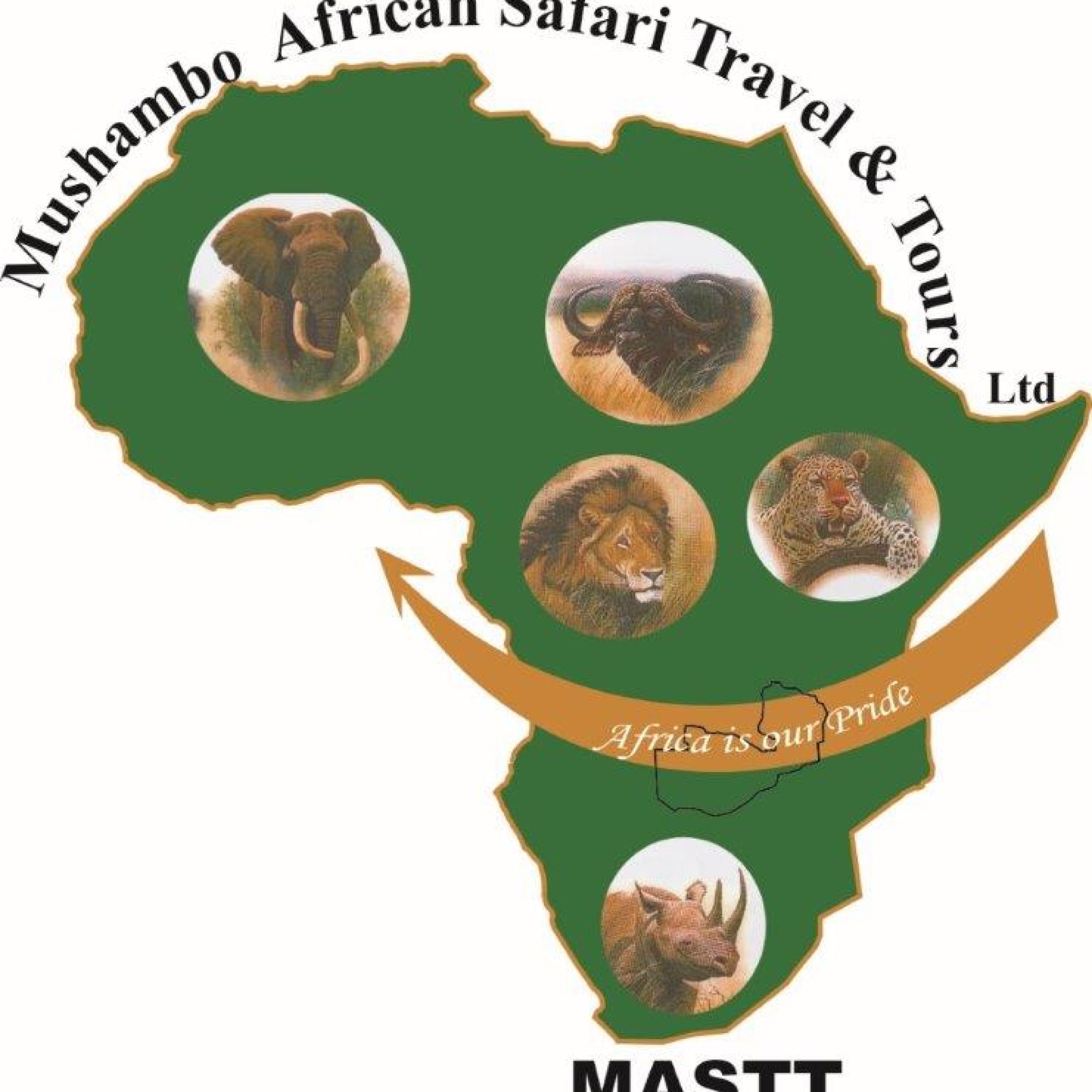MASTT logo (5)